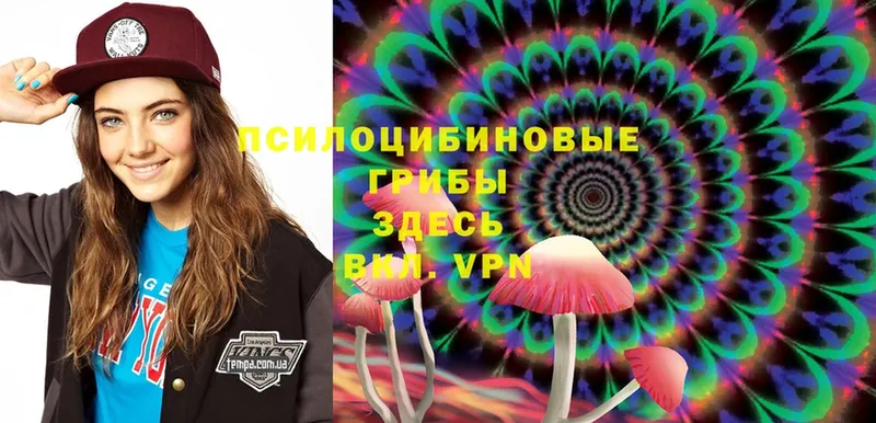 дарнет шоп  Абинск  гидра сайт  Галлюциногенные грибы MAGIC MUSHROOMS 